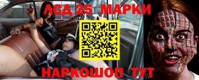 альфа пвп Новодвинск