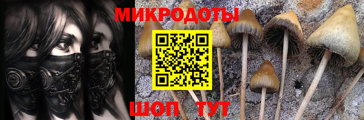 Котлас  Галлюциногенные грибы Psilocybe  Галлюциногенные грибы мицелий  Вход с VPN 